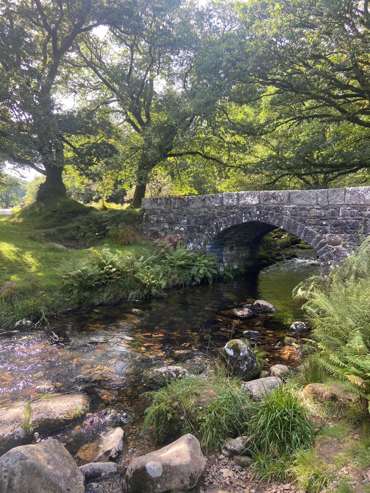 Maristow Cottages, Overlook Tamar Valley Dartmoor Plymouth Kültér fotó